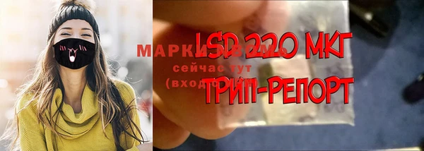 шишки Алексин