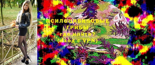 шишки Алексин
