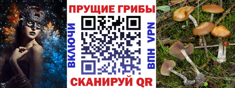 Галлюциногенные грибы прущие грибы Бабушкин